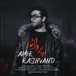 دانلود آهنگ پروانه از امیر رشوند